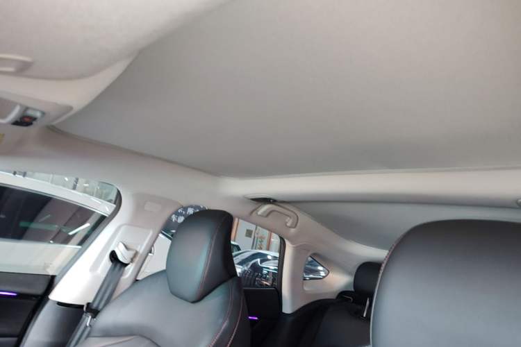 Used XPeng P7 2022 670N+ Headliner
