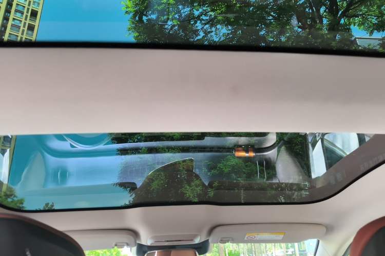 Used XPeng P7 2022 586E Headliner