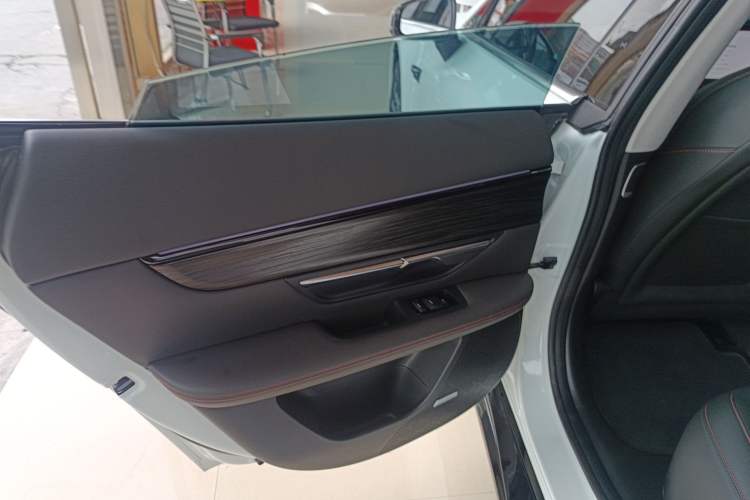 Used XPeng P7 2022 625E Left Rear Door Interior