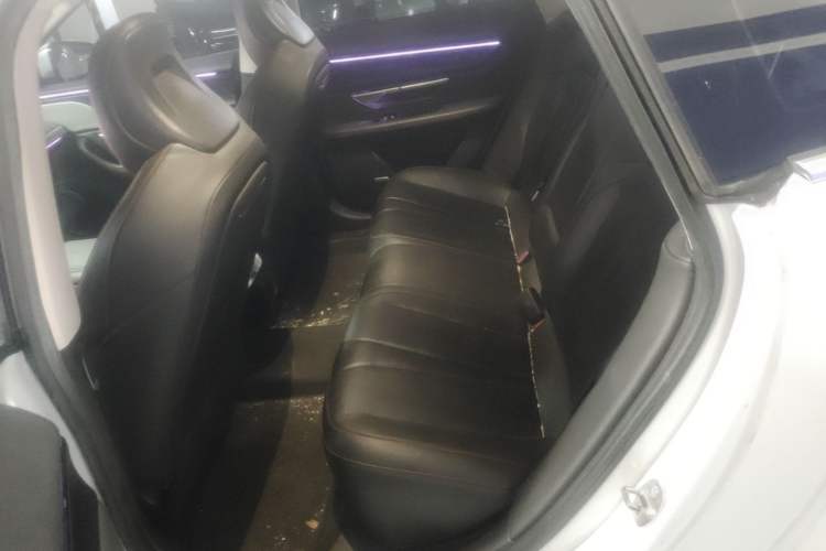 Used XPeng P7 2022 480E+ Left Rear Seat