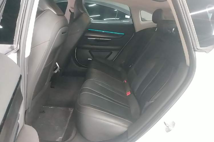 Used XPeng P7 2022 480E+ Left Rear Seat
