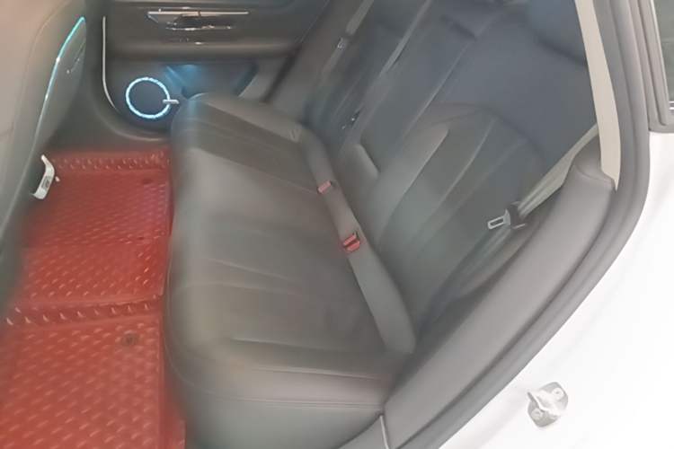 Used XPeng P7 2022 480E+ Left Rear Seat