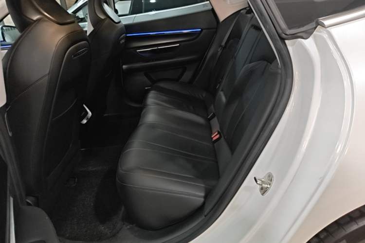 Used XPeng P7 2022 480N+ Left Rear Seat