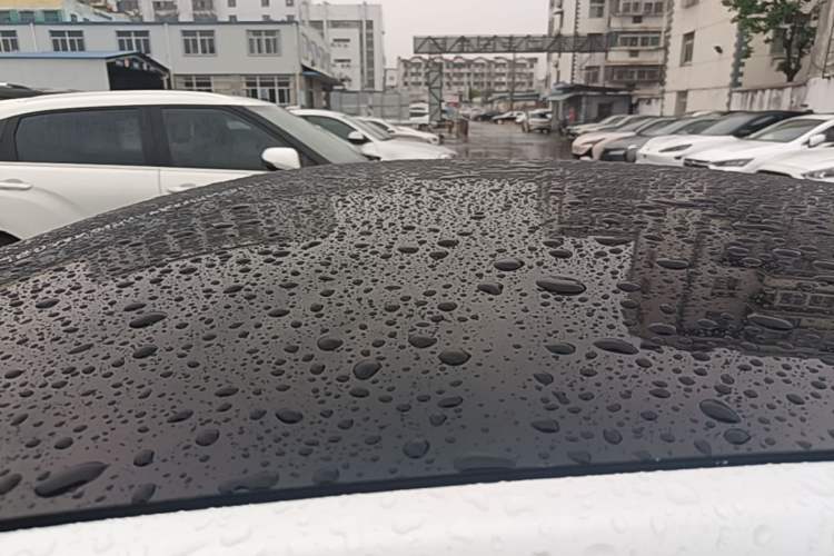 Used XPeng P7 2022 625E Roof