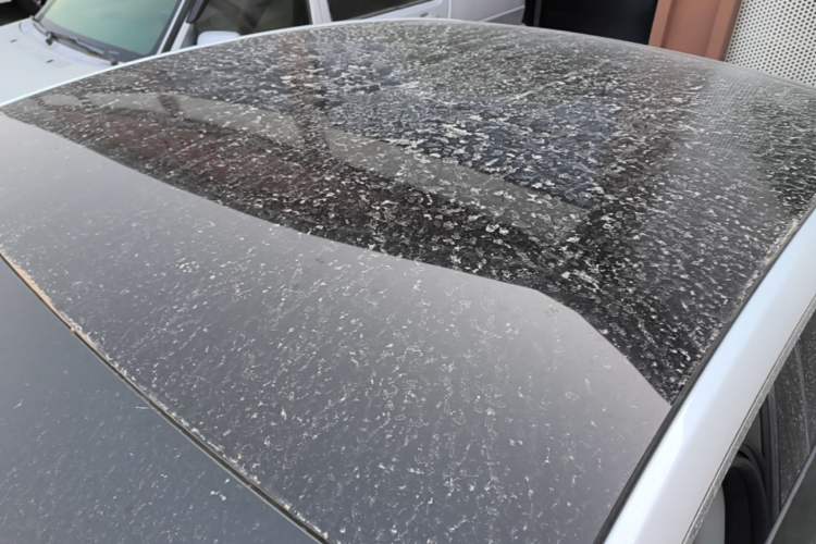 Used XPeng P7 2022 670N+ Roof
