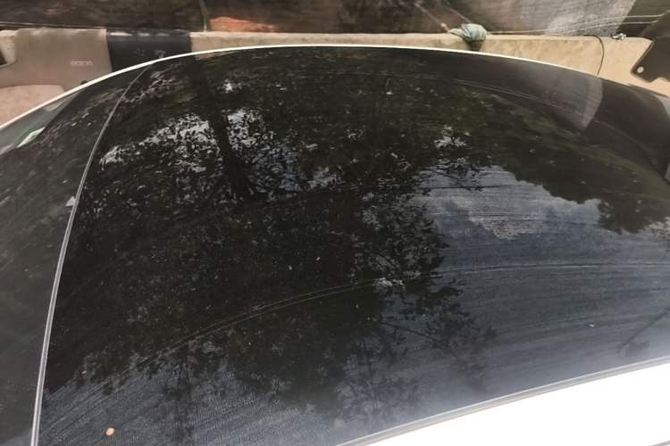 Used XPeng P7 2022 625E Roof
