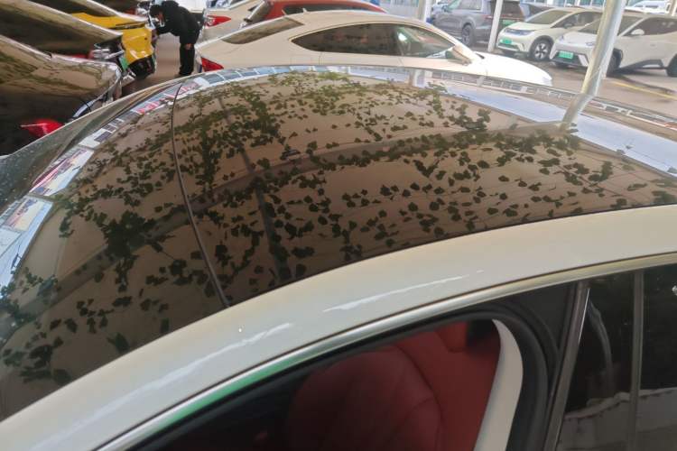Used XPeng P7 2022 586G Roof