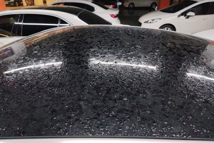 Used XPeng P7 2022 625E Roof