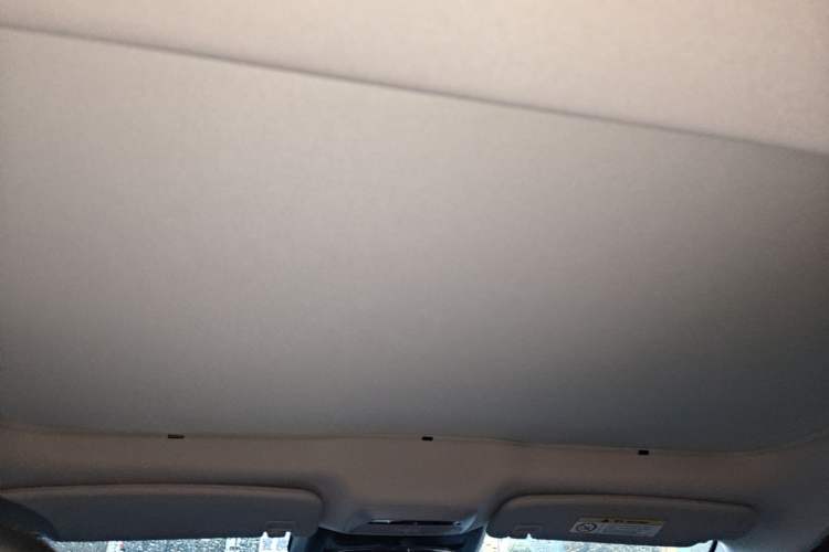 Used XPeng P7 2023 586E Headliner