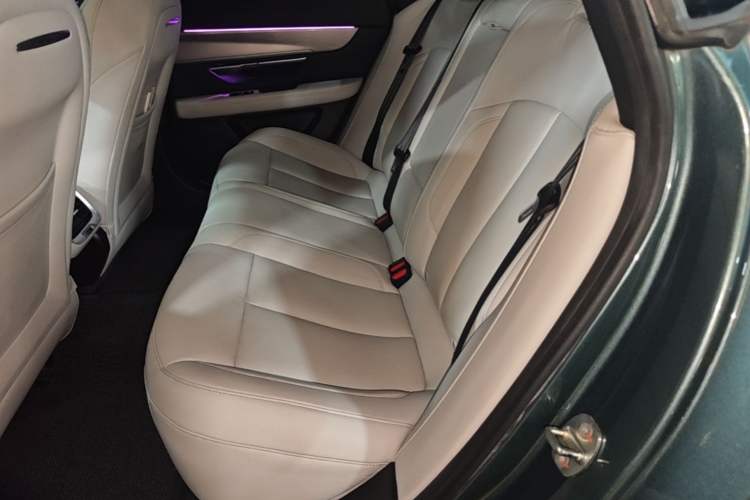 Used XPeng P7 2023 P7i 702 Max Left Rear Seat