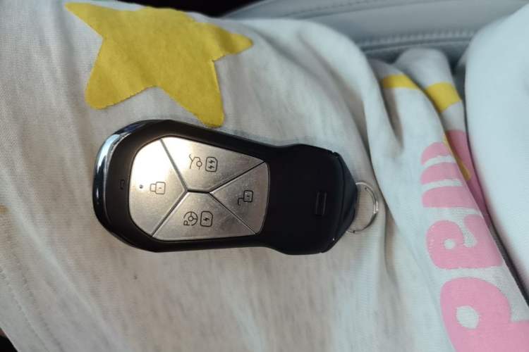 Used XPeng P7 2023 P7i 702 Max Vehicle Key