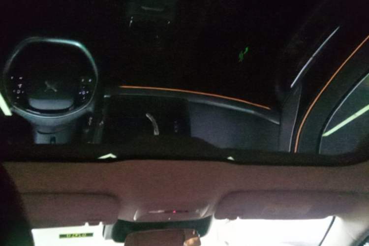 Used XPeng P7 2023 480E Headliner