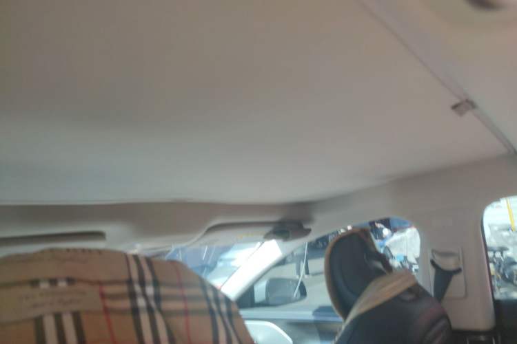 Used XPeng P7 2023 586E Headliner