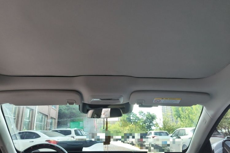 Used XPeng P7 2023 586E Headliner