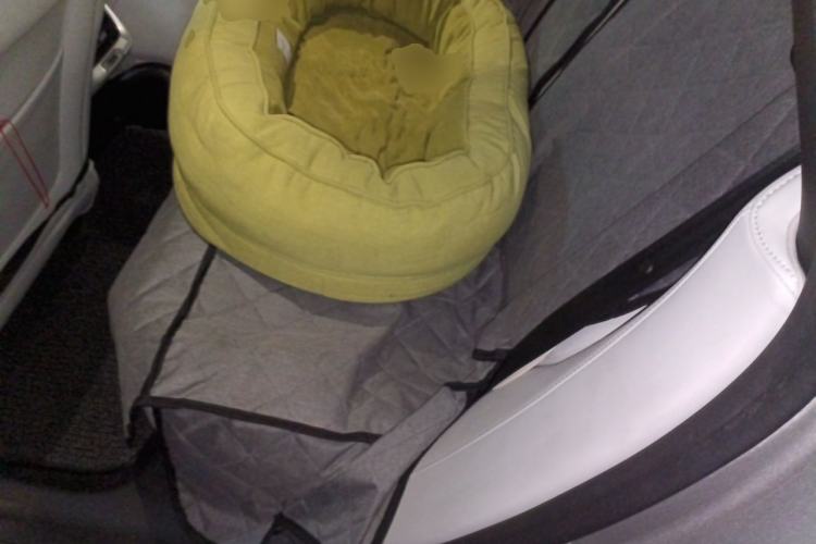 Used XPeng P7 2023 P7i 702 Pro Left Rear Seat