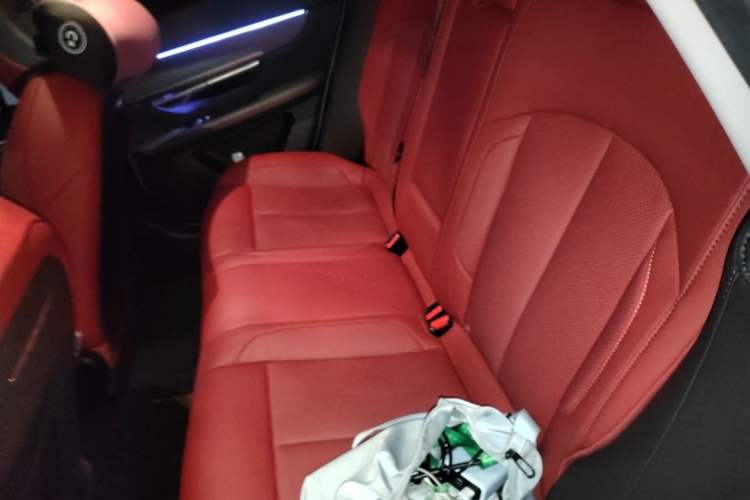 Used XPeng P7 2023 P7i 702 Max Left Rear Seat