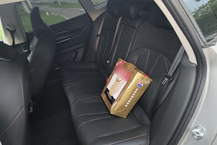 Used XPeng P7 2023 586E Left Rear Seat
