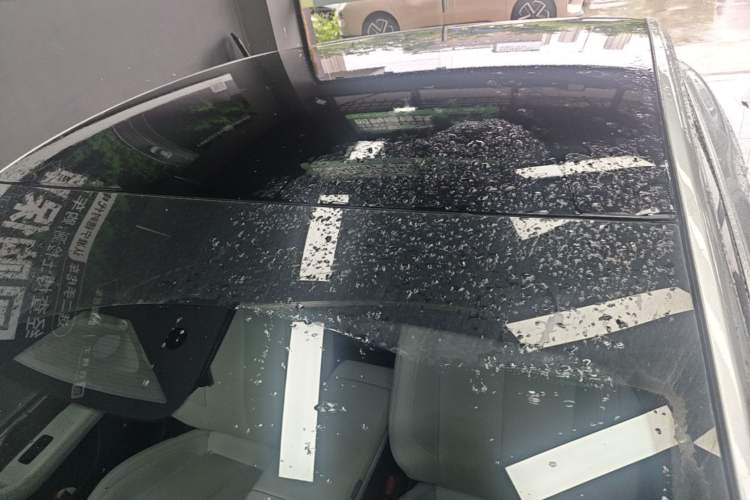 Used XPeng P7 2023 P7i 702 Max Roof