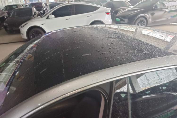 Used XPeng P7 2023 586E Roof