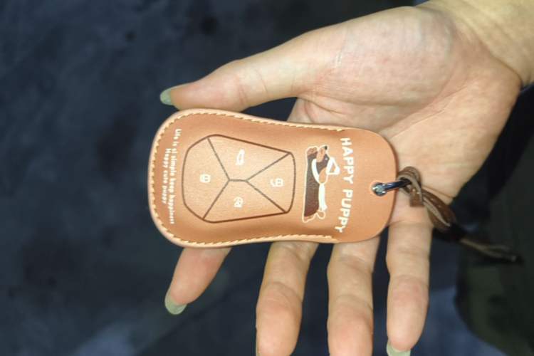 Used XPeng P7 2024 P7i 550 Pro Vehicle Key