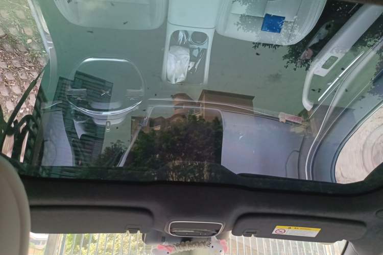 Used XPeng P7 2024 P7i 702 Max Pengyi Edition Headliner