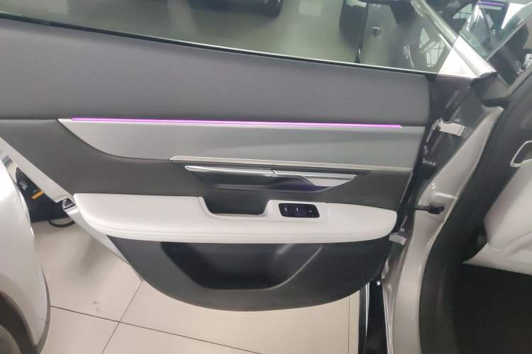 Used XPeng P7 2024 P7i 550 Max Left Rear Door Interior