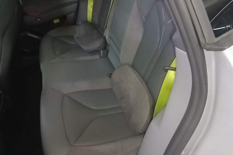 Used XPeng P7 2025 Model—750 All-Wheel-Drive High-Performance Ultra Left Rear Seat