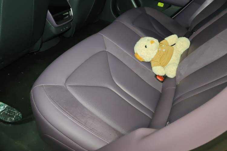 Used XPeng P7 2025 Model 702 Max Left Rear Seat