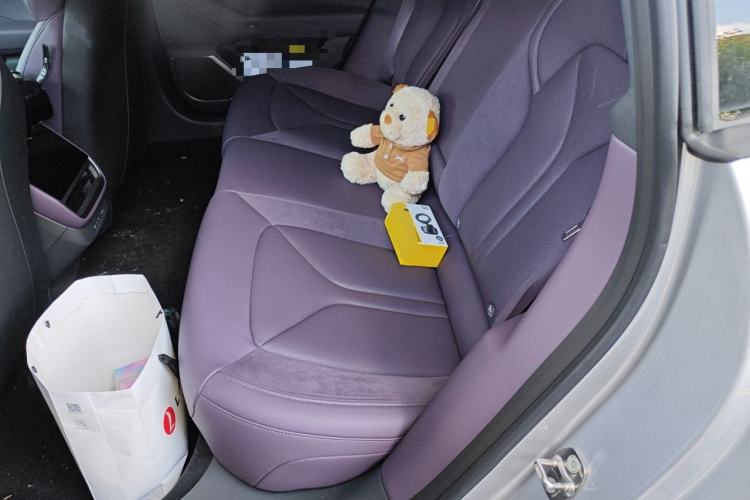 Used XPeng P7 2025 Model—820 Ultra Long Range Ultra Left Rear Seat