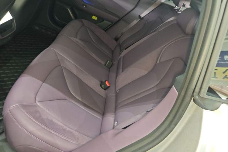 Used XPeng P7 2025 Model—820 Ultra Long Range Ultra Left Rear Seat