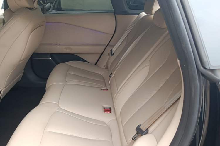 Used XPeng P7+ 2024 Long-Range Max Left Rear Seat