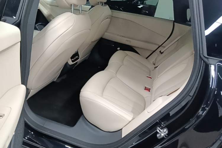 Used XPeng P7+ 2024 Long-Range Max Left Rear Seat