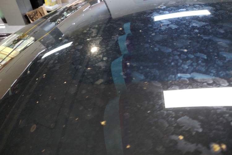 Used XPeng P7+ 2024 Long-Range Max Roof