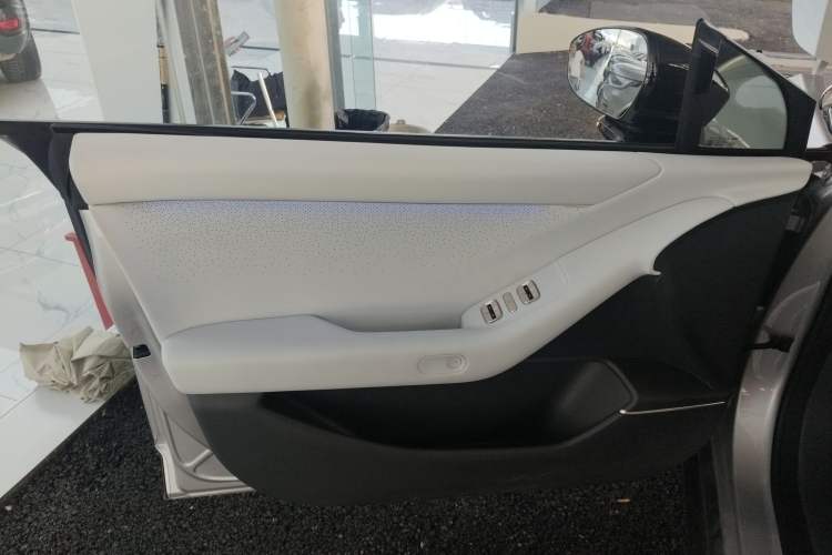 Used XPeng P7+ 2024 Long-Range Max Left Front Door Interior