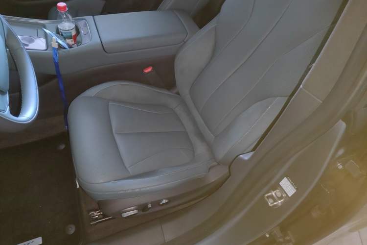 Used XPeng P7+ 2024 Limited Edition Max Left Front Seat
