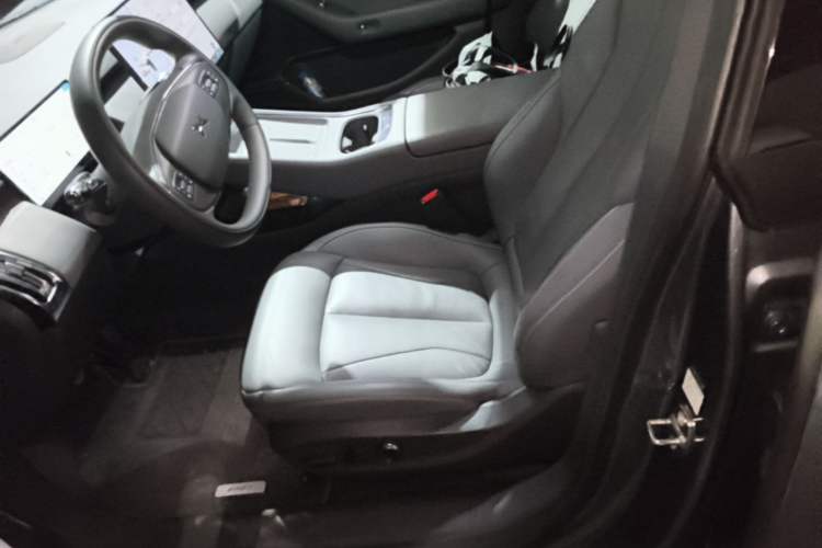 Used XPeng P7+ 2024 Long-Range Max Left Front Seat