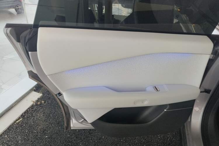 Used XPeng P7+ 2024 Long-Range Max Left Rear Door Interior