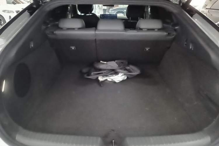 Used XPeng P7+ 2024 Long-Range Max Trunk