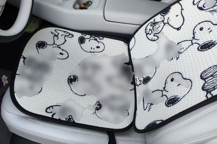 Used XPeng P7+ 2024 Long-Range Max Left Front Seat