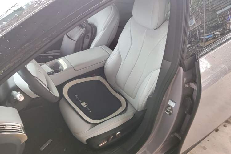 Used XPeng P7+ 2024 Long-Range Max Left Front Seat