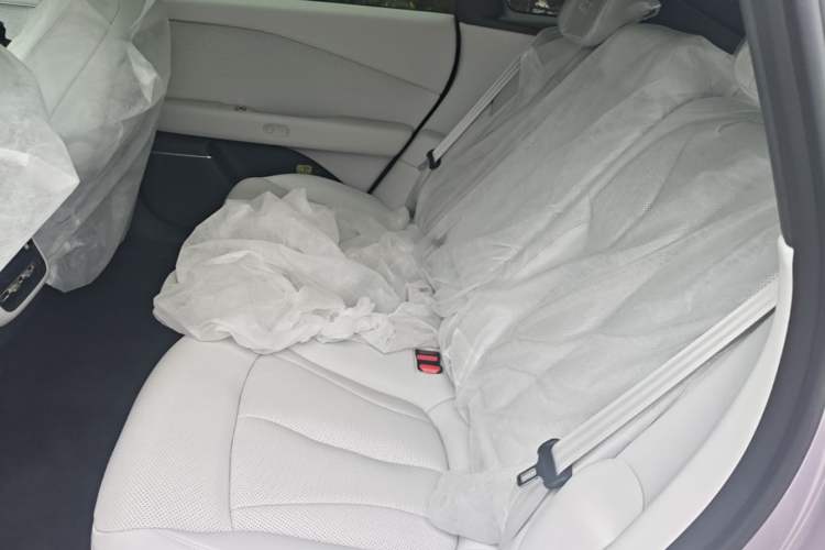 Used XPeng P7+ 2024 Long-Range Max Left Rear Seat