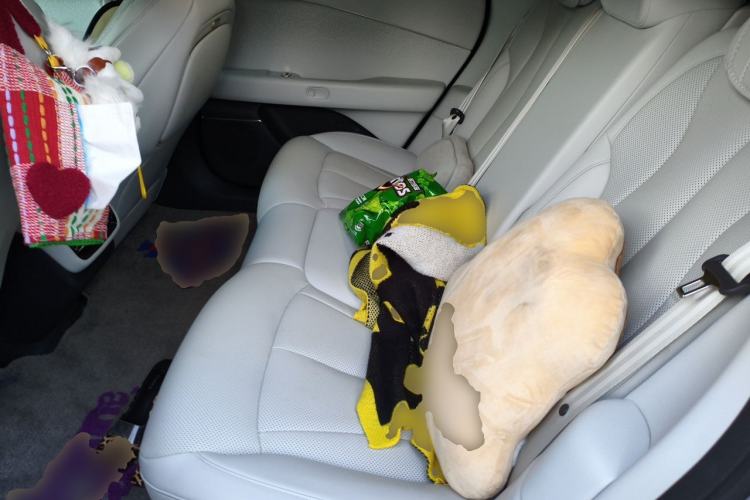 Used XPeng P7+ 2024 Long-Range Max Left Rear Seat
