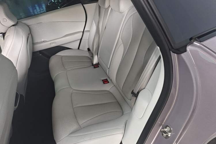 Used XPeng P7+ 2024 Long-Range Max Left Rear Seat