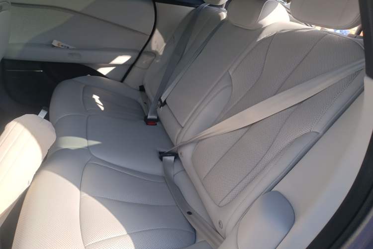Used XPeng P7+ 2024 Long-Range Max Left Rear Seat