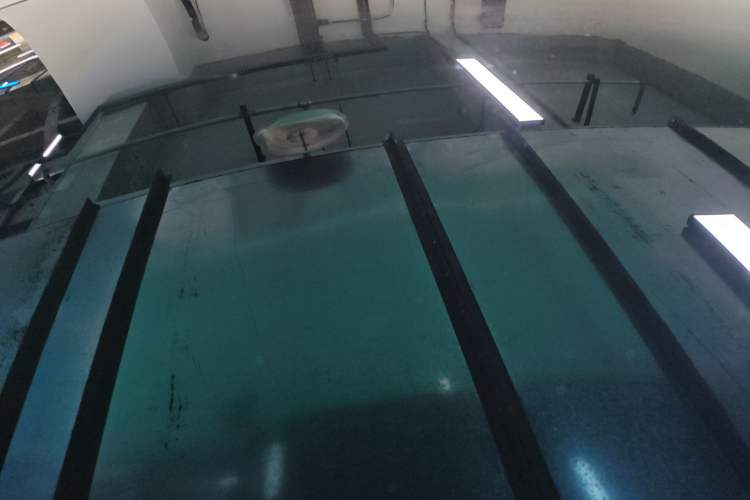 Used XPeng P7+ 2024 Long-Range Max Roof
