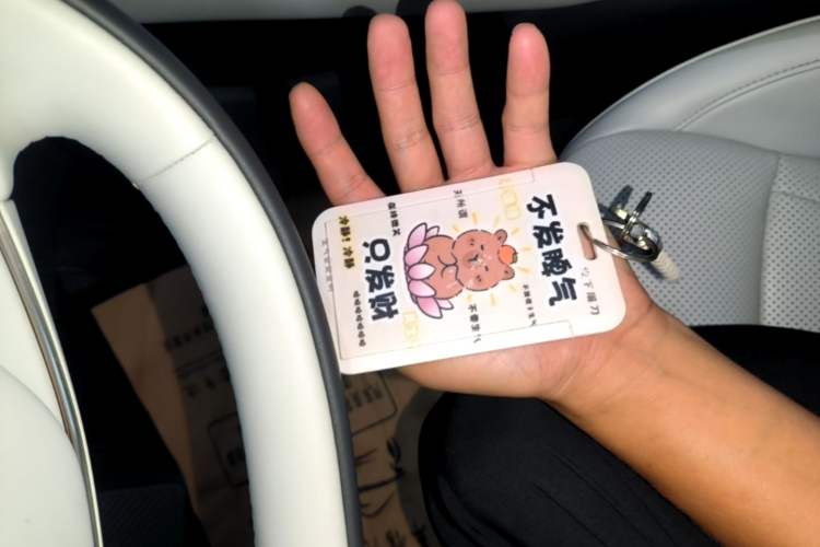 Used XPeng P7+ 2024 Long-Range Max Vehicle Key