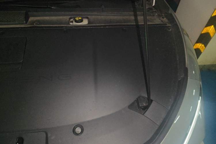 Used XPeng P7+ 2024 Long-Range Max Engine Bay Left