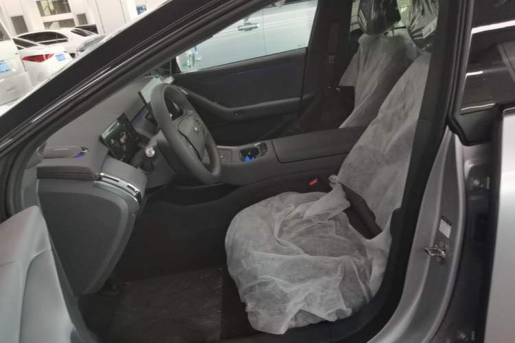 Used XPeng P7+ 2024 Ultra-Long Range Max Left Front Seat
