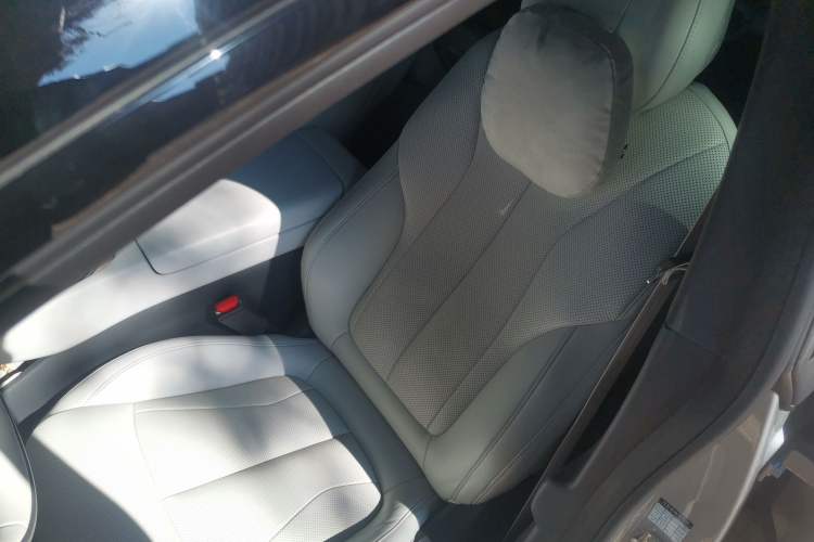 Used XPeng P7+ 2024 Long-Range Max Left Front Seat