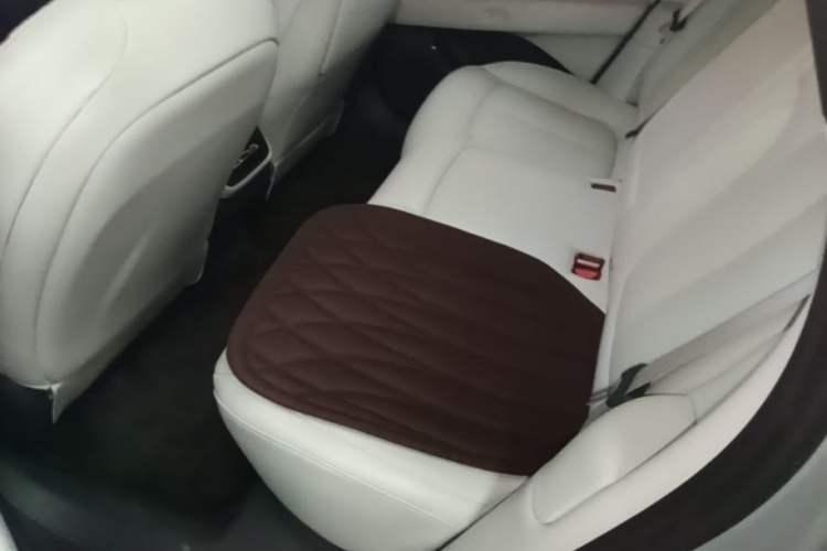 Used XPeng P7+ 2024 Long-Range Max Left Rear Seat